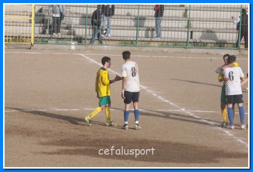 130406 delfini 210_tn.jpg